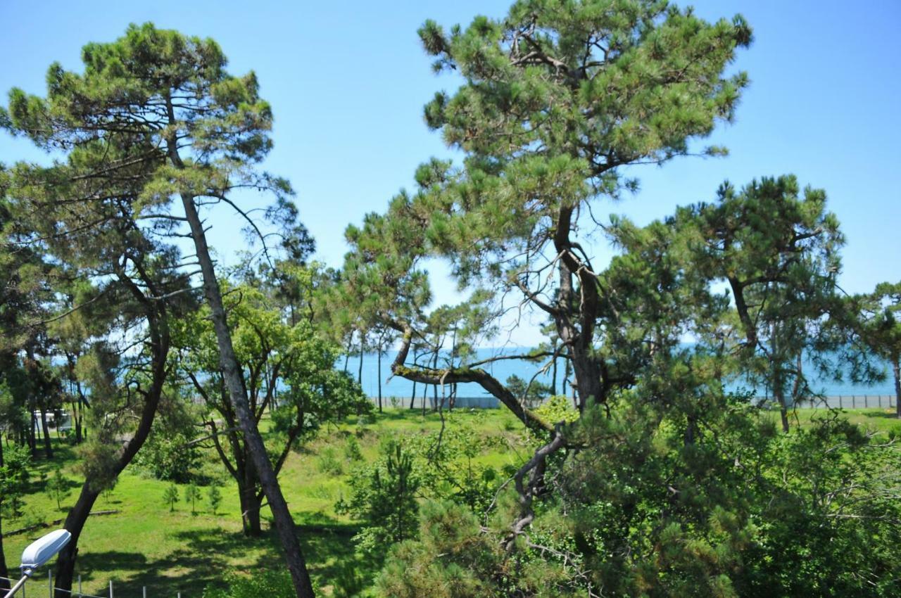 Hotel Horizon Kobuleti Bagian luar foto